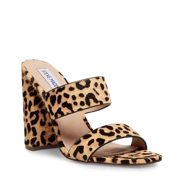 Steve Madden Tegan-l Leopard Heel Hakken Dames Leopard | SM-257EQ