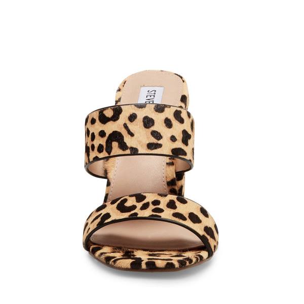 Steve Madden Tegan-l Leopard Heel Hakken Dames Leopard | SM-257EQ