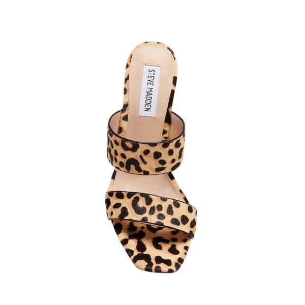 Steve Madden Tegan-l Leopard Heel Hakken Dames Leopard | SM-257EQ