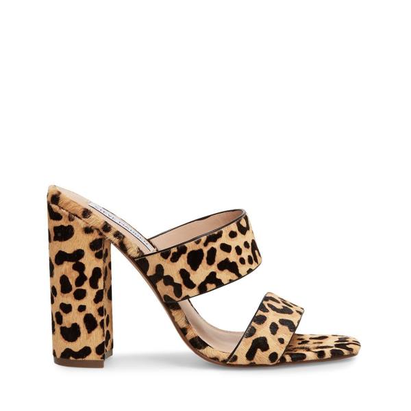 Steve Madden Tegan-l Leopard Heel Hakken Dames Leopard | SM-257EQ