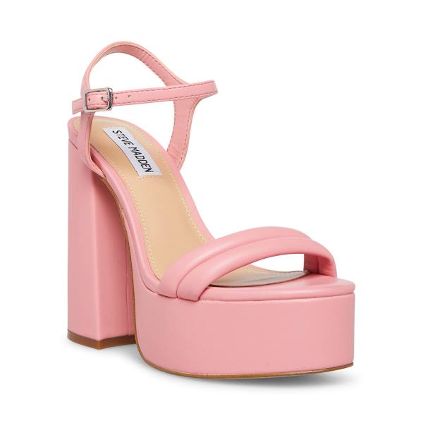 Steve Madden Tille Heel Hakken Dames Roze | SM-451MB