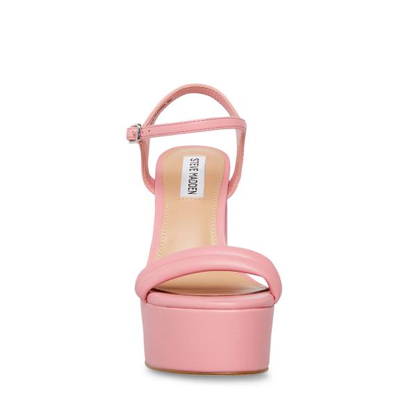 Steve Madden Tille Heel Hakken Dames Roze | SM-451MB