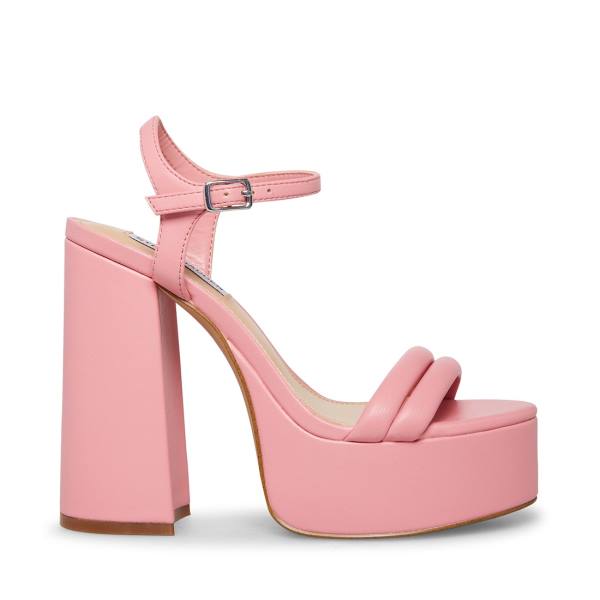 Steve Madden Tille Heel Hakken Dames Roze | SM-451MB