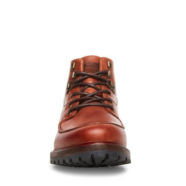 Steve Madden Trekker Cognac Leren Laarzen Heren Bruin | SM-835KL