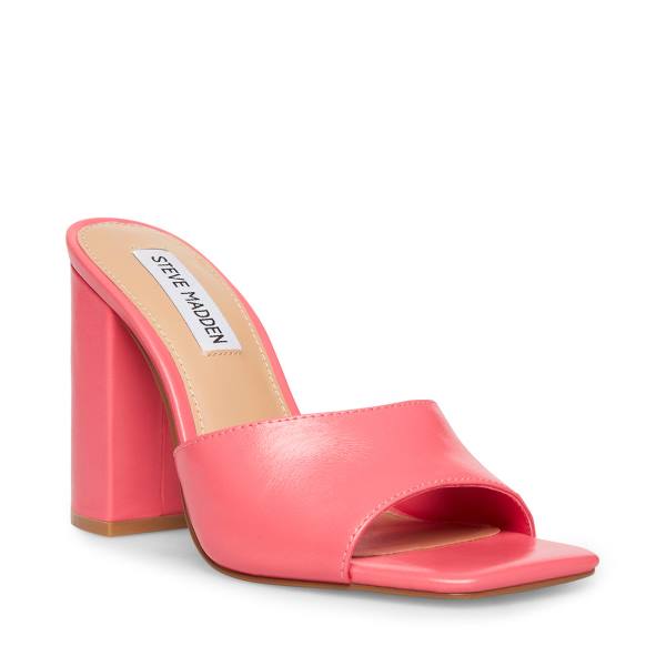 Steve Madden Trendy Leren Heel Hakken Dames Roze | SM-890RA