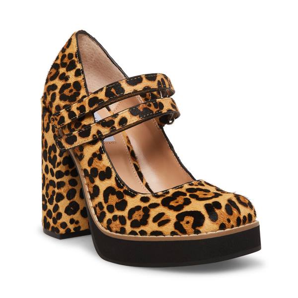 Steve Madden Twice-p Leopard Heel Hakken Dames Leopard | SM-748NH