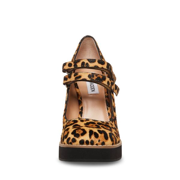 Steve Madden Twice-p Leopard Heel Hakken Dames Leopard | SM-748NH