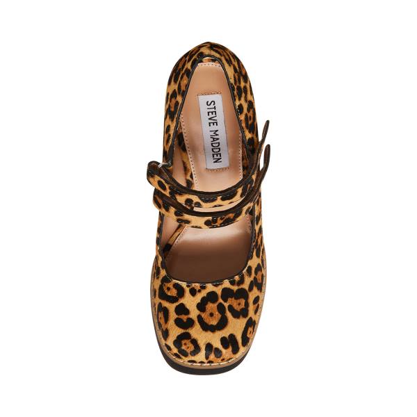 Steve Madden Twice-p Leopard Heel Hakken Dames Leopard | SM-748NH