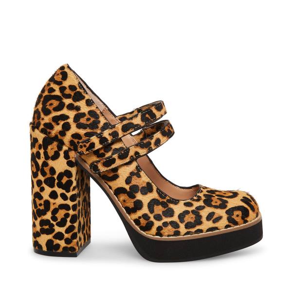 Steve Madden Twice-p Leopard Heel Hakken Dames Leopard | SM-748NH