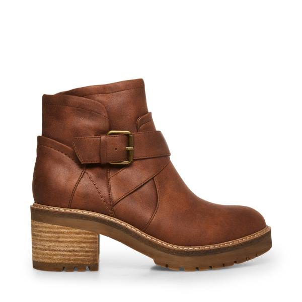 Steve Madden Vanessah Cognac Enkellaarsjes Dames Bruin | SM-217BJ