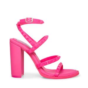 Steve Madden Cellini Heel Hakken Dames Roze | SM-638IO