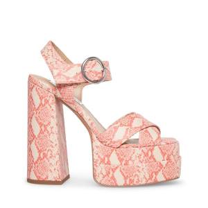 Steve Madden Charmed Heel Hakken Dames Roze Gekleurd | SM-978WP