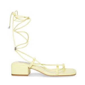 Steve Madden Claremont Sandalen Dames Geel | SM-598HU