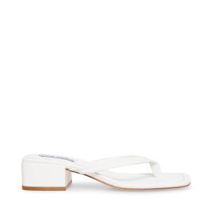 Steve Madden Claudette Sandalen Dames Wit | SM-140BC