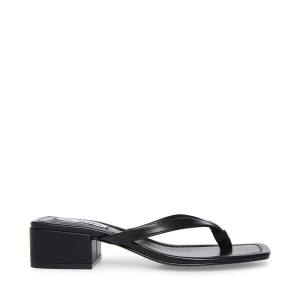 Steve Madden Claudette Sandalen Dames Zwart | SM-409HJ