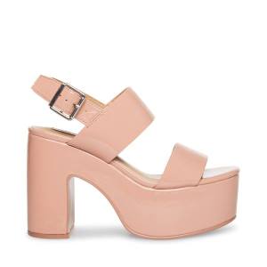 Steve Madden Dafne Lak Heel Hakken Dames Roze | SM-601BV