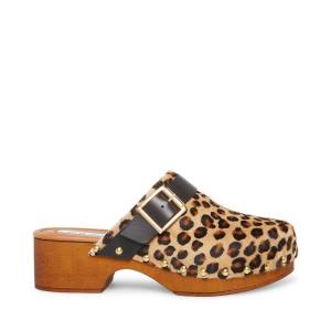 Steve Madden Dana-p Leopard Heel Hakken Dames Leopard | SM-297EZ