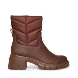 Steve Madden Haldan Enkellaarsjes Dames Bruin | SM-264FT