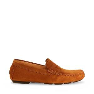 Steve Madden Italo Cognac Suede Loafers Heren Bruin | SM-064BG