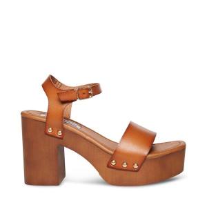 Steve Madden Ivy Cognac Heel Hakken Dames Bruin | SM-609UR