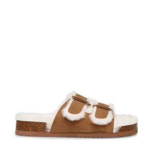 Steve Madden Jleena Cognac Slippers Kinderen Bruin | SM-206IP