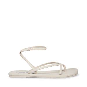 Steve Madden Juno Bone Sandalen Dames Beige | SM-486QS