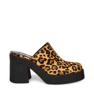 Steve Madden Kam Leopard Heel Hakken Dames Leopard | SM-250TE