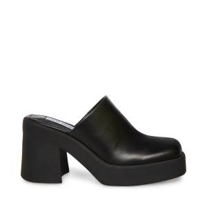 Steve Madden Kam Leren Heel Hakken Dames Zwart | SM-173GH