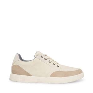 Steve Madden Karos Sneakers Heren Grijs Gekleurd | SM-594CY