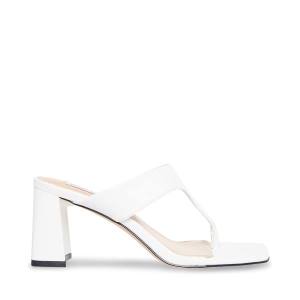 Steve Madden Lamorna Heel Hakken Dames Wit | SM-514FL