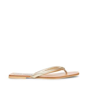 Steve Madden Lighthouse Sandalen Dames Goud | SM-690MR