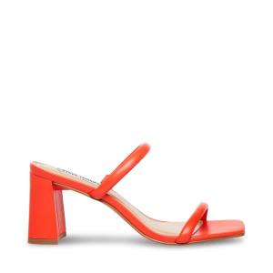 Steve Madden Lilah Heel Hakken Dames Rood | SM-639TF