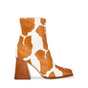 Steve Madden Nara-c Tan Enkellaarsjes Dames Bruin Bruin | SM-608EP