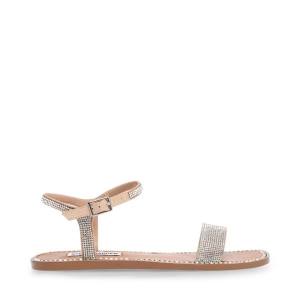 Steve Madden Nickel Sandalen Dames Diamond | SM-691BW