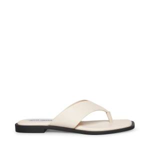 Steve Madden Norie Bone Leren Sandalen Dames Beige | SM-958WA