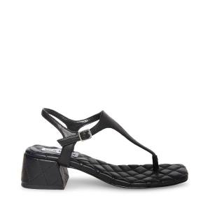 Steve Madden Pepper Sandalen Dames Zwart | SM-728HA