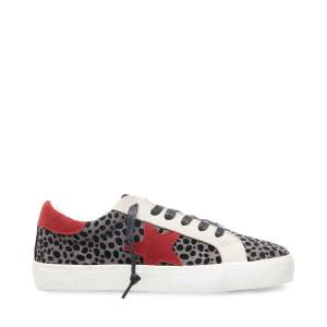 Steve Madden Philosophy Sneakers Dames Grijs Gekleurd | SM-842WO