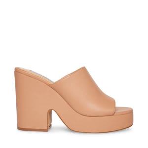 Steve Madden Sally Tan Heel Hakken Dames Donkerbruin | SM-358GO