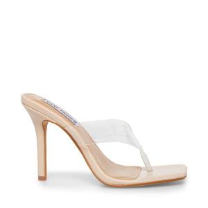 Steve Madden Showcase Heel Hakken Dames Clear | SM-804LO