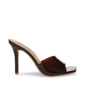 Steve Madden Signal Heel Hakken Dames Bruin | SM-568KU