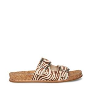 Steve Madden Zeya Sandalen Dames Tiger | SM-134KP